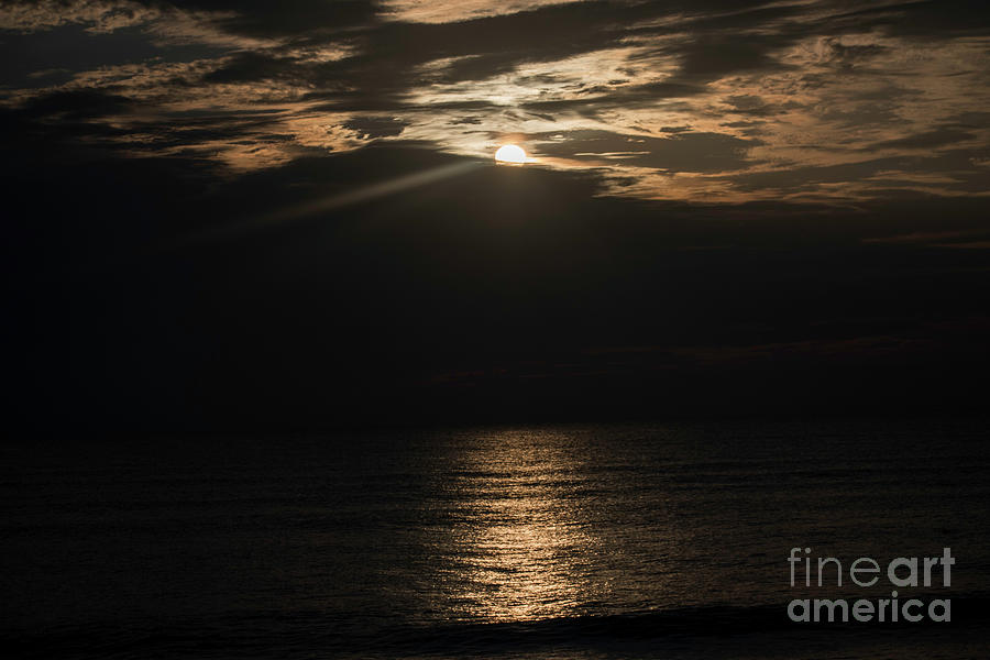 Silver Sunrise Photograph by Judy Hall-Folde