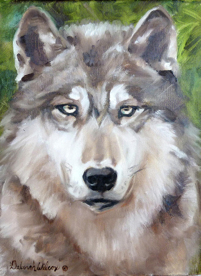 Silver Wolf oil painting by Deborah Wilcox Painting by Deborah Wilcox ...