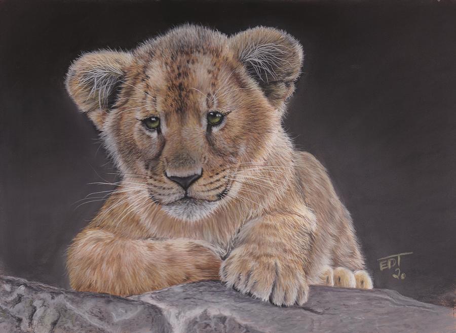 Simba Pastel by Ed Teasdale - Fine Art America