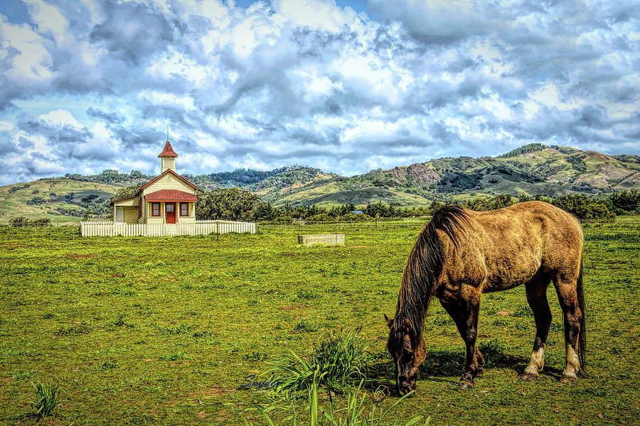 San Simeon Village Church Horse  Photograph by Floyd Snyder