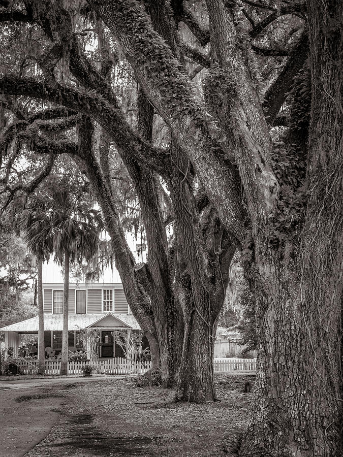 Black And White Photograph -  Simonton House, Micanopy, Florida by Dawna Moore Photography