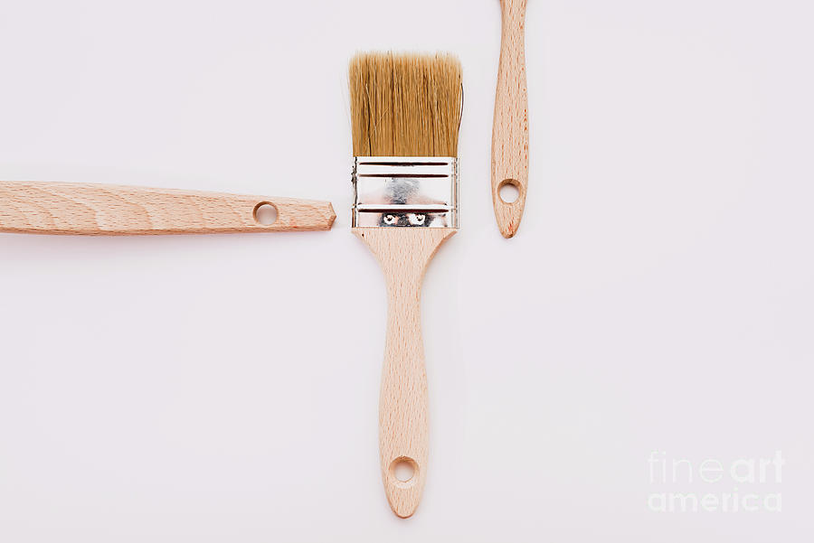 Simple background with new wooden paintbrushes isolated on white Photograph by Joaquin Corbalan
