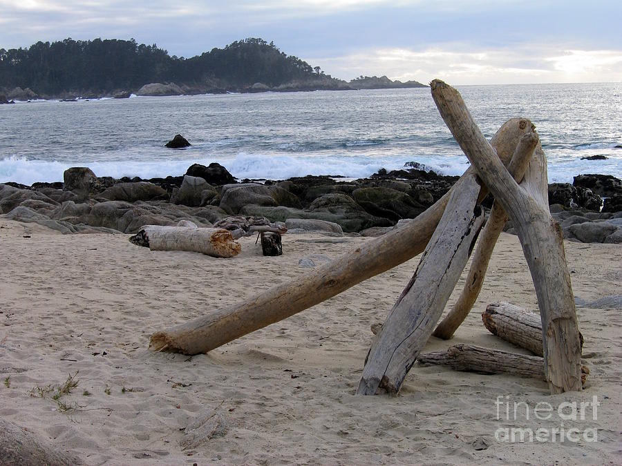 Simple Driftwood Sculpture Photograph