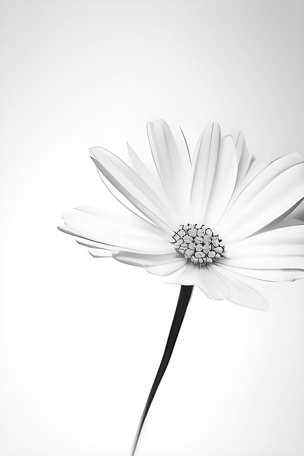Simple Flower Digital Art by April Cook