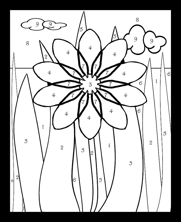 coloring by numbers flowers