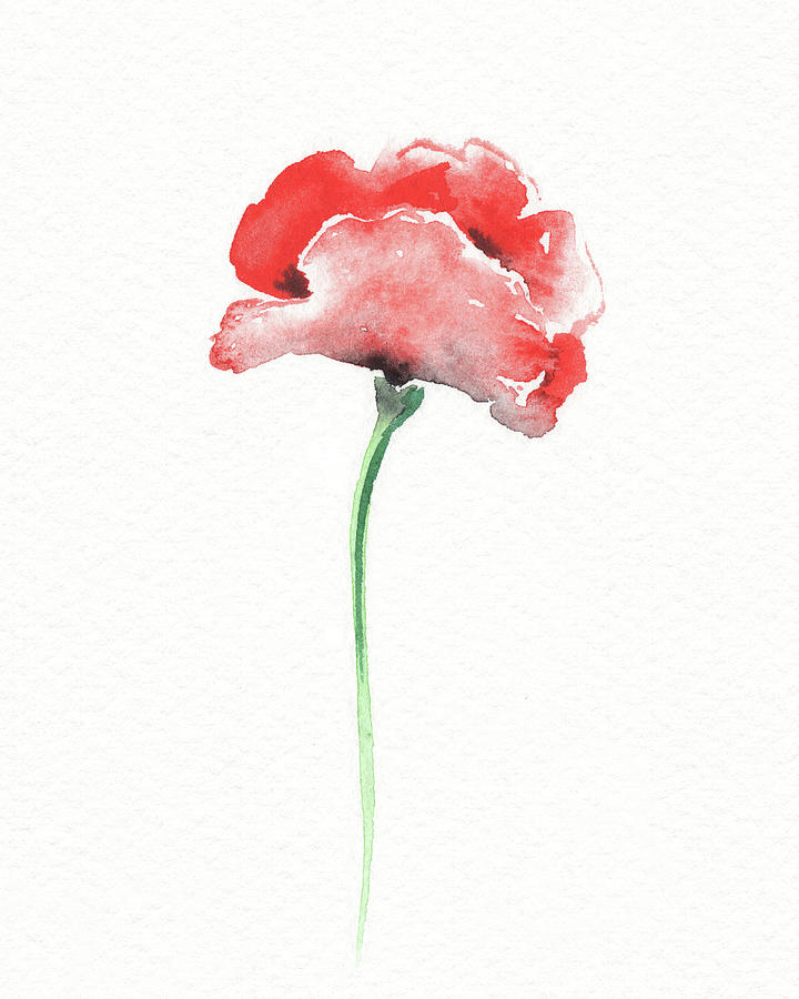 Simple Grace Beautiful Botanical Watercolor Red Poppy Flower II Painting