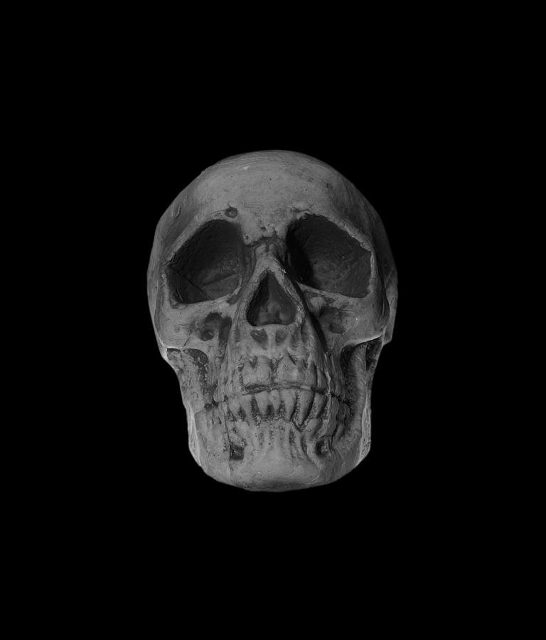 https://images.fineartamerica.com/images/artworkimages/mediumlarge/3/simple-human-skull-silvy-tanamas.jpg