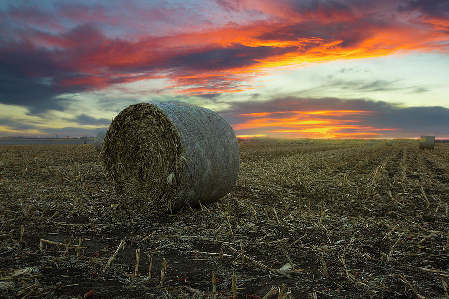 Simple Life  Photograph by Aaron J Groen