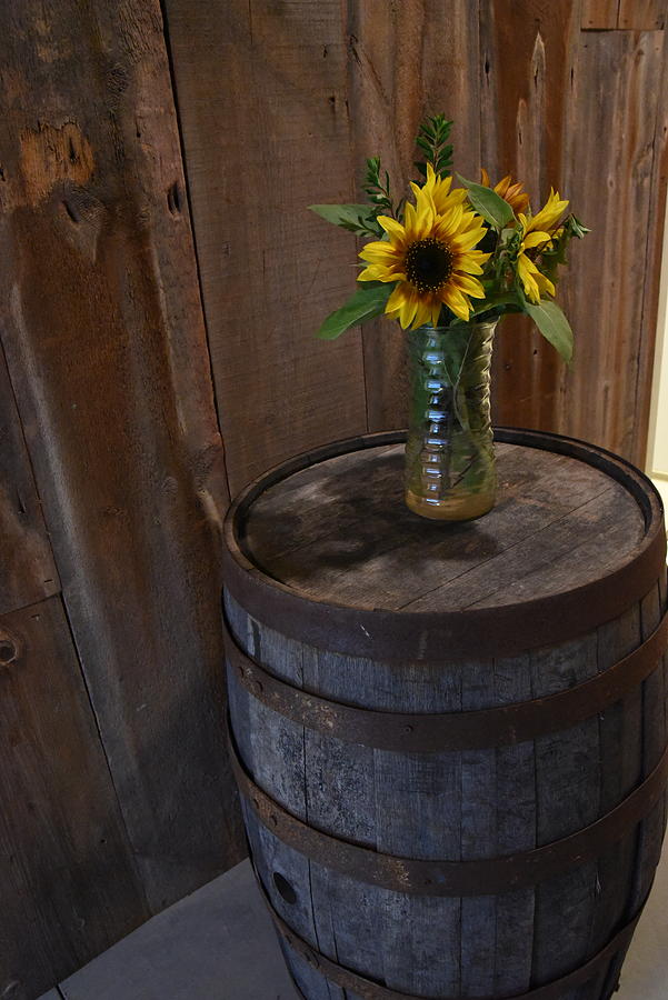 Simple Sunflower Decorations Photograph by Janice Adomeit