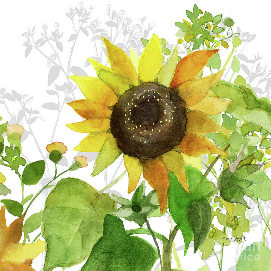 Simple Sunflower on White  Painting by Sue Zipkin