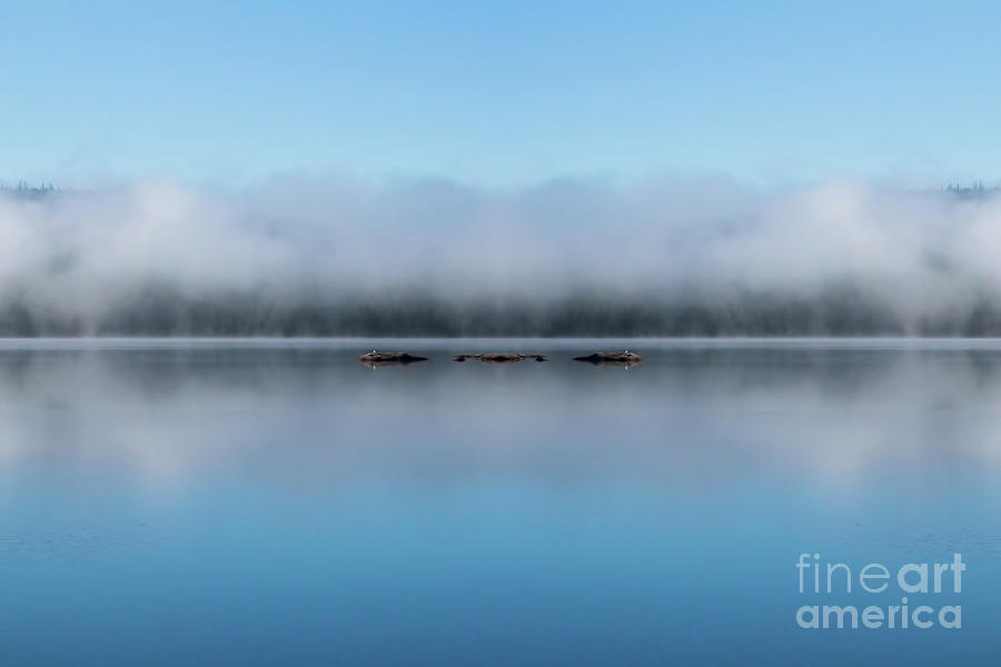 Waterscape Photograph - Simple Tranquility by Barbara McMahon