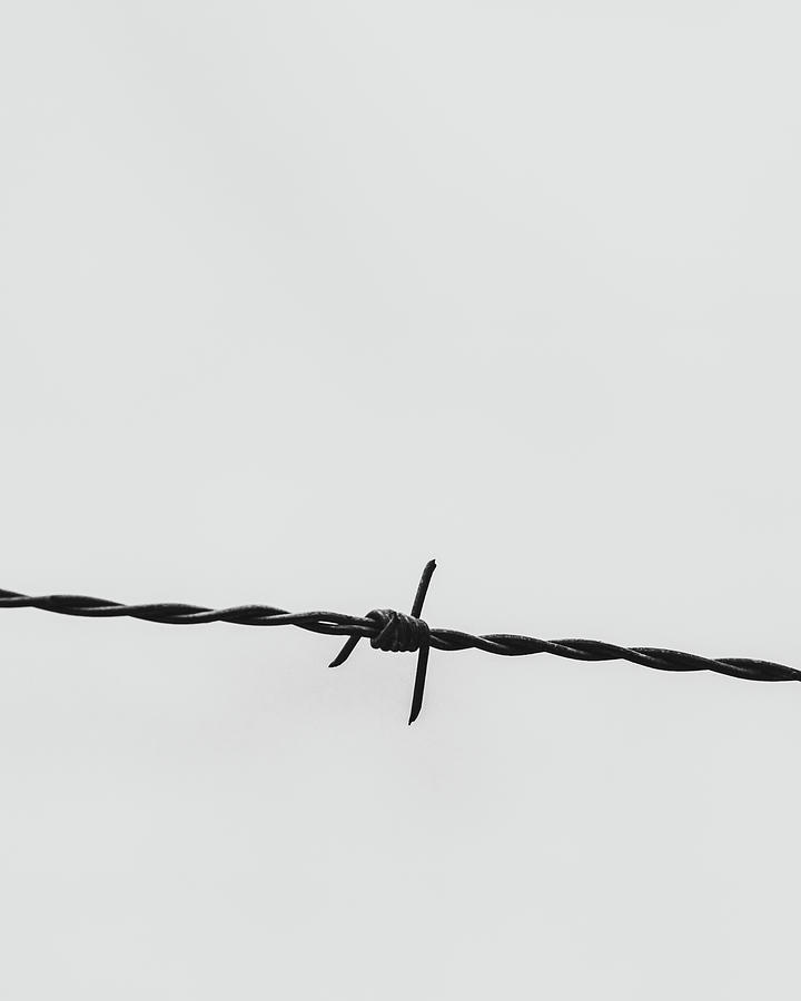 Simple Twist Of Wire Photograph by Bob Orsillo