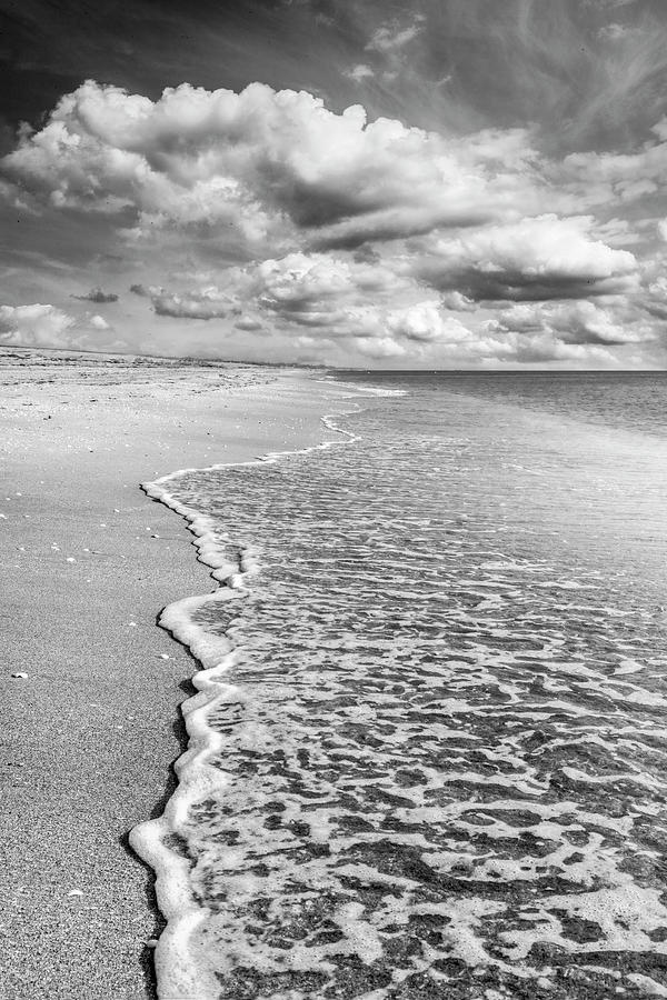 Simplicity in Black and White  Photograph by Debra and Dave Vanderlaan