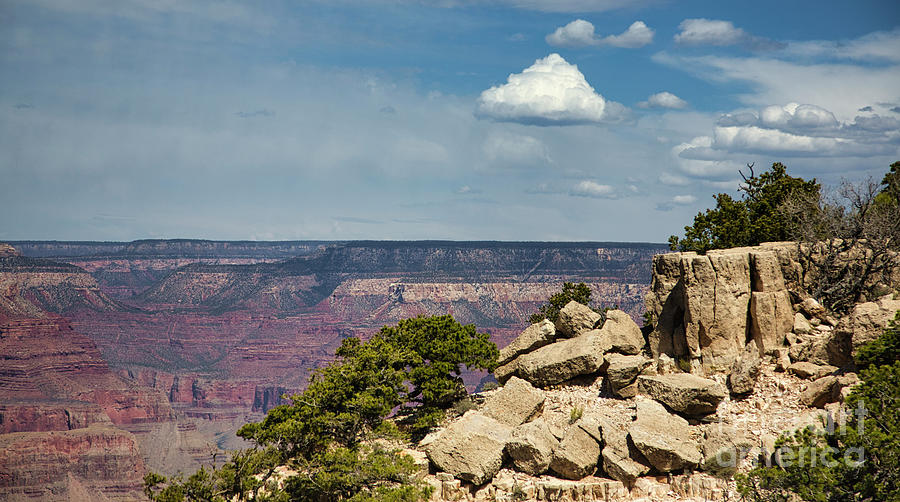 Grand Canyon National Park Photograph - Simply Grand Canyon I  by Chuck Kuhn