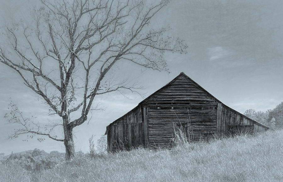 Simply Tennessee, Grayscale Photograph by Marcy Wielfaert