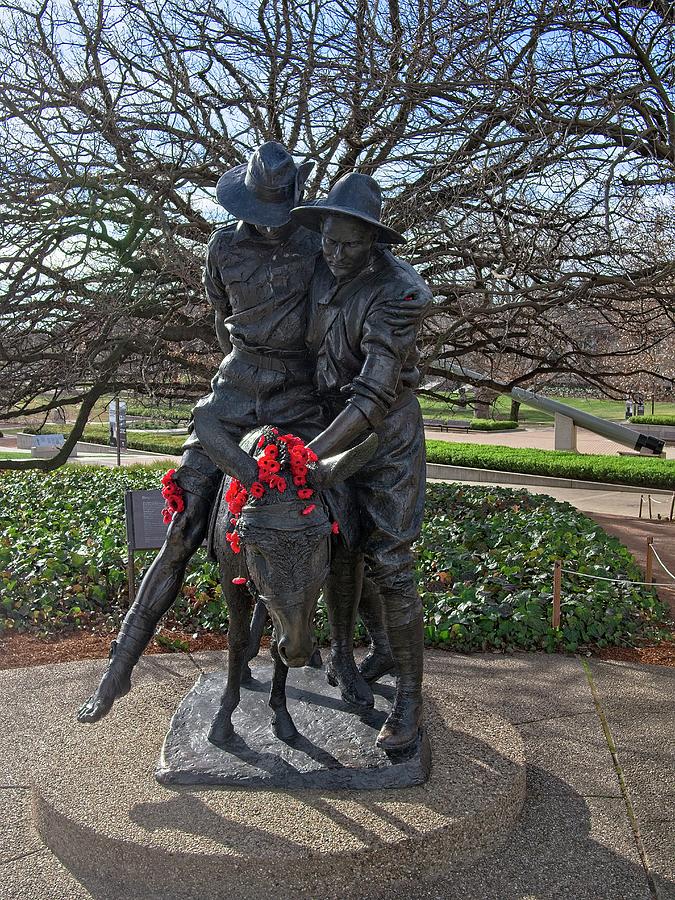Simpson and his Donkey - Canberra - Australia Photograph by Steven Ralser