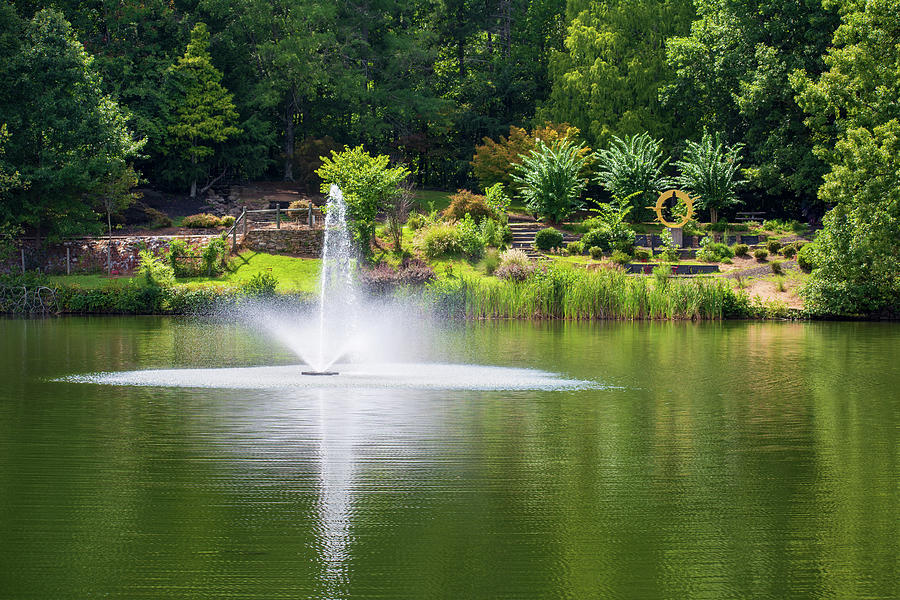 Sims Lake Park Photograph