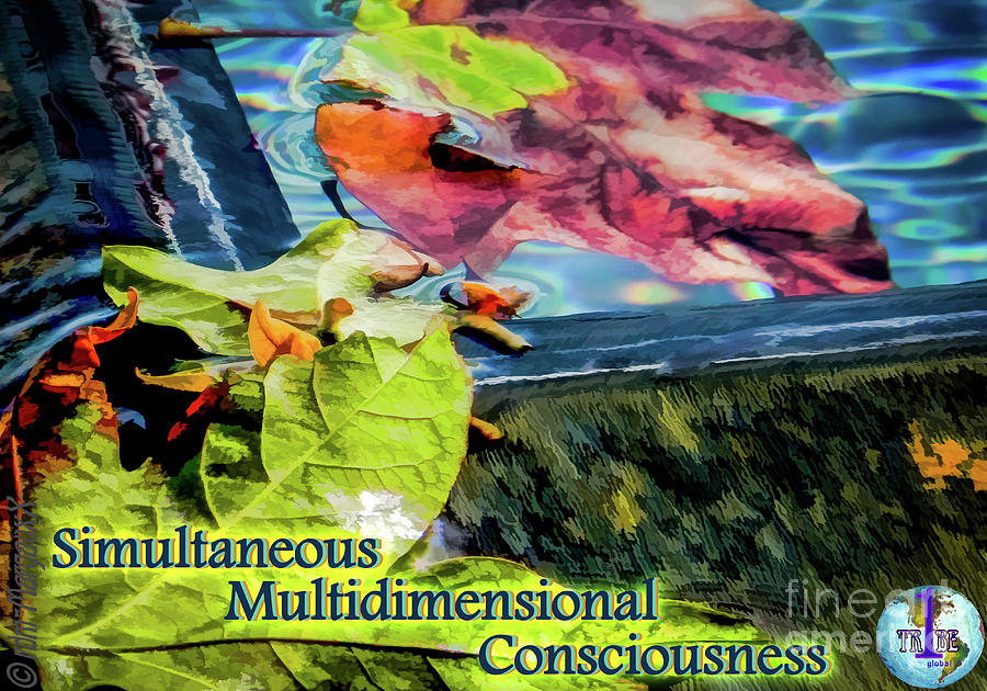 Simultaneous Mutlidimensional Consciousness Photograph by Margaux Dreamaginations