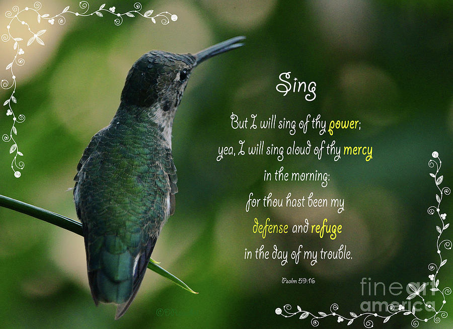 Sing Praise Psalm Mixed Media by Debby Pueschel