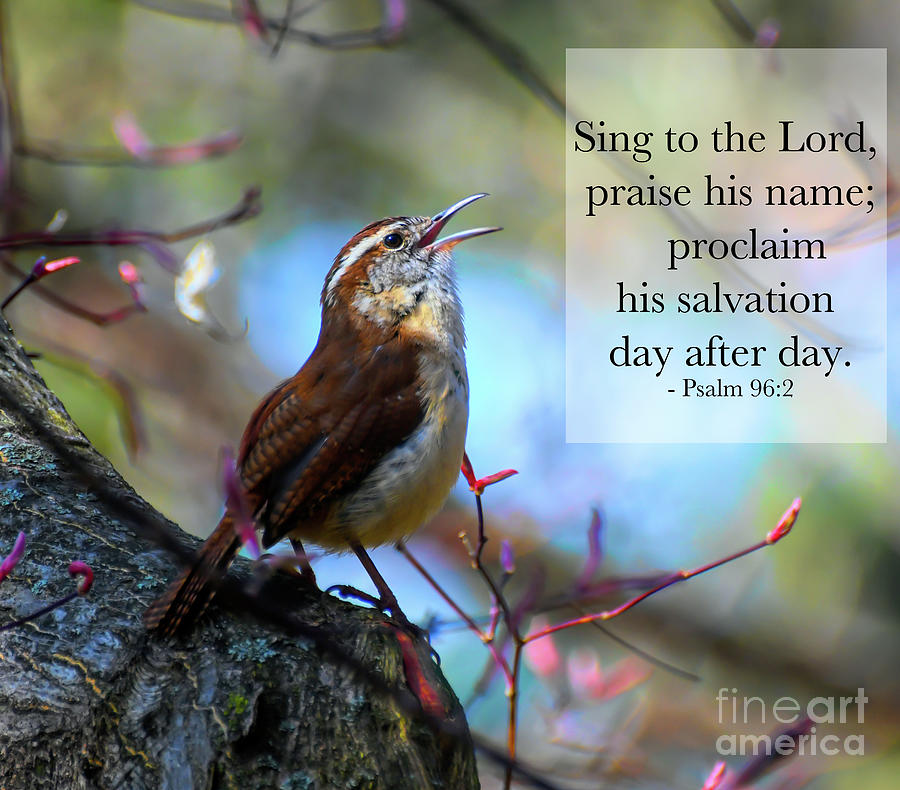 Sing To The Lord Photograph by Kerri Farley