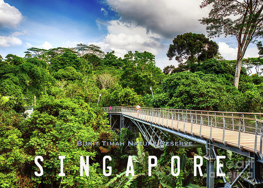 Singapore, 226 Bukit Timah Nature Reserve Photograph by John Seaton Callahan