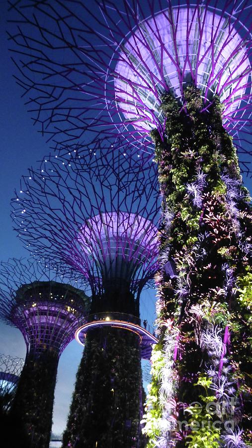 Singapore Lighted Towers Photograph by Barbie Corbett-Newmin