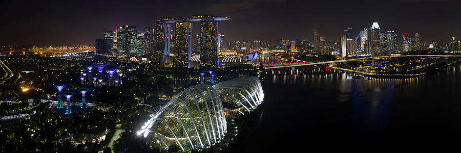 Singapore Gardens by the bay at night Photograph by Sonny Ryse
