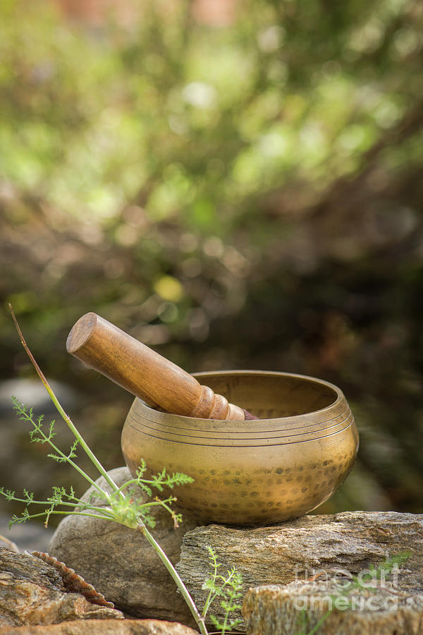 Singing bowl and zen Photograph by Perry Van Munster