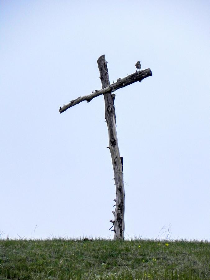 Singing The Old Rugged Cross Photograph by Amanda R Wright