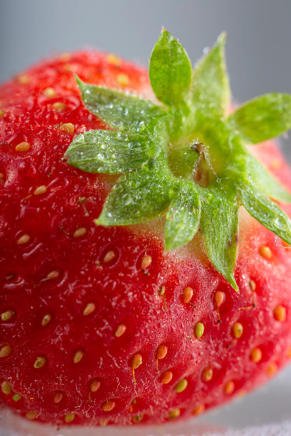 Single fresh strawberry with water drops Photograph by Sebastian Radu