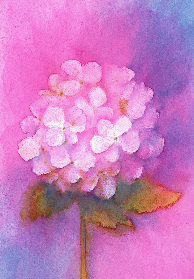 Single Hydrangea flower Painting by Karen Kaspar