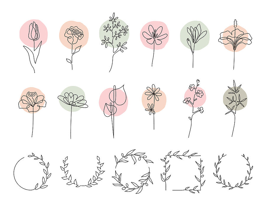 Single line flowers set Drawing by Miakievy