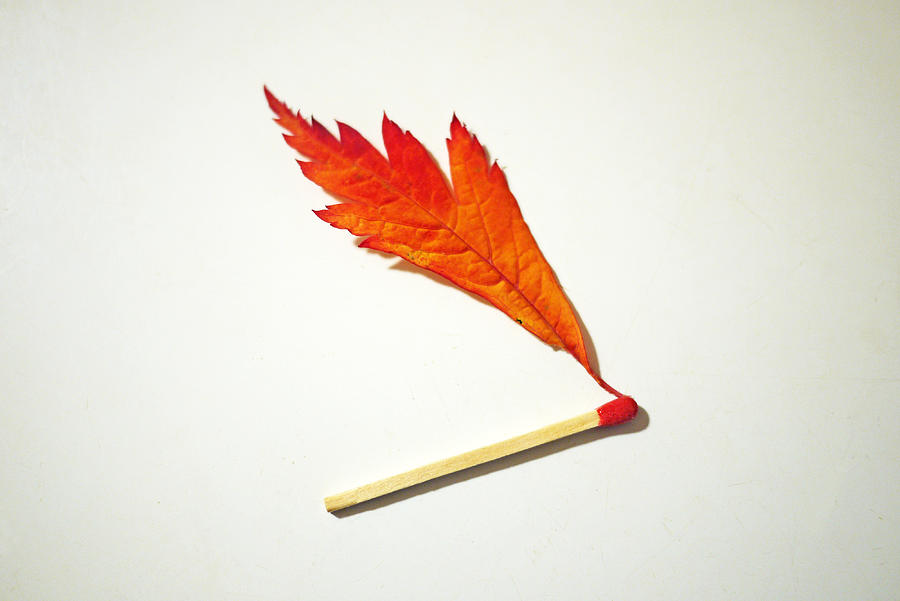 Single match with red flame on white surface Photograph by Rosmarie Wirz
