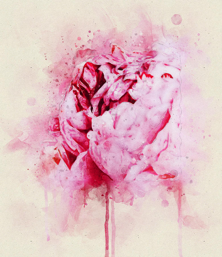Single Peony Painting by Portraits By NC