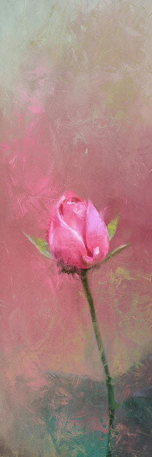 Single Pink Rose Bud Painting by Jai Johnson