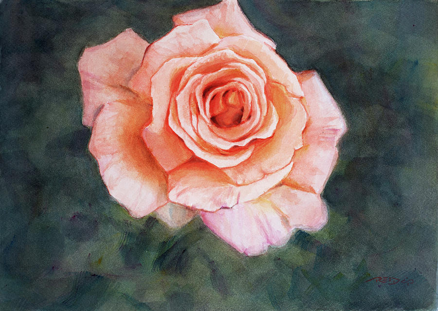 Single Rose Painting by Christopher Reid