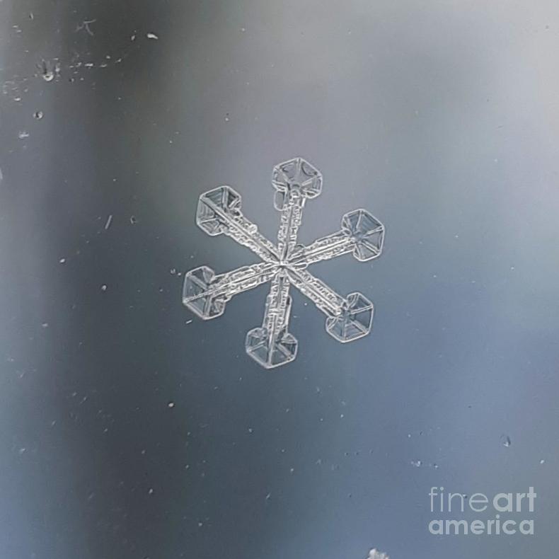 How do you photograph a single snowflake?
