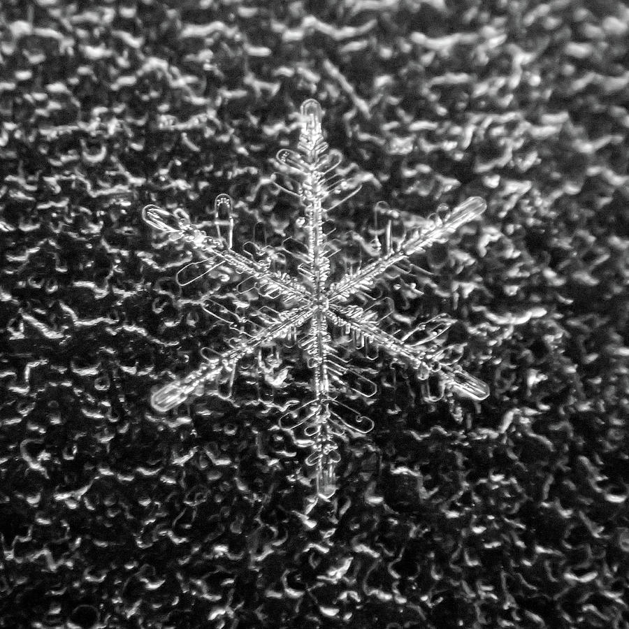 Single Snowflakes Closeup Macro Winter Snow Photograph by Toby McGuire