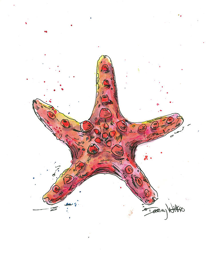 Single Starfish Red Painting by Darcey Wilkes - Fine Art America