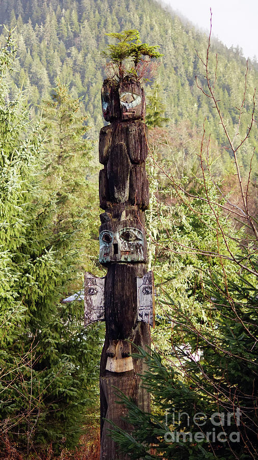 Single totem with tree Photograph by Steve Speights