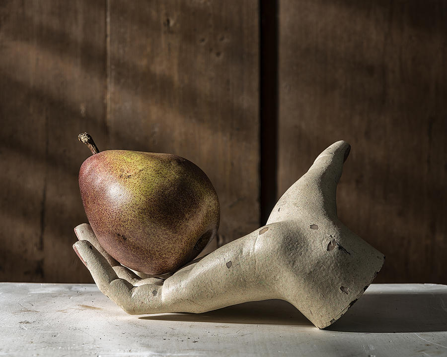 Single Unbitten Pear in Mannequin Hand Photograph by Ian Gwinn
