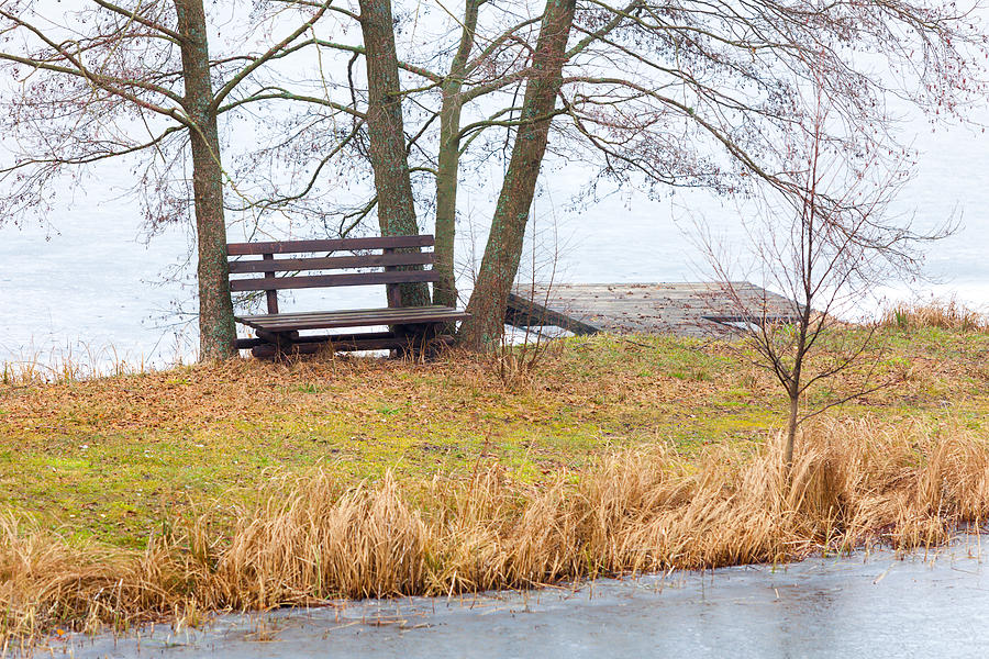 Single wooden bench and trees on river or lake shore Photograph by Voyagerix