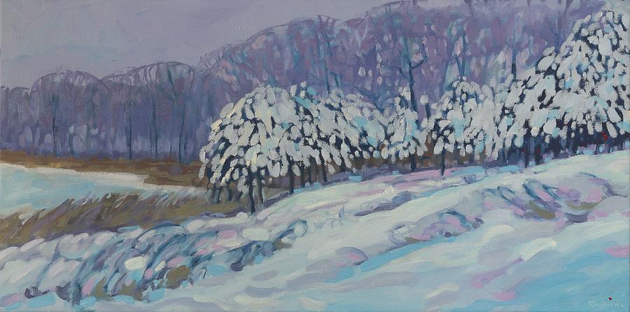 Winter Painting - Singleton Provincially Significant Sanctuary by Phil Chadwick