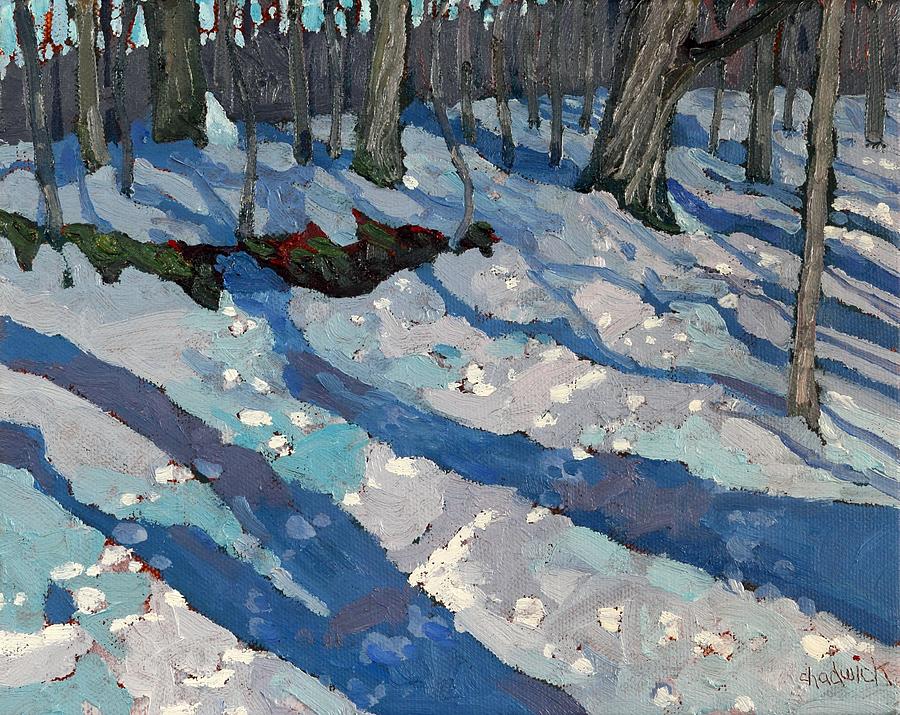 Singleton Sugar Maple Trail Painting by Phil Chadwick