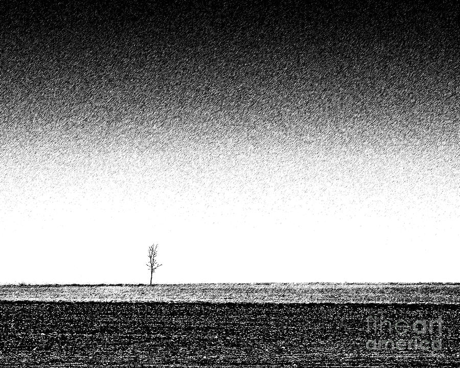 A single tree, Solitude Photograph by Tatiana Bogracheva