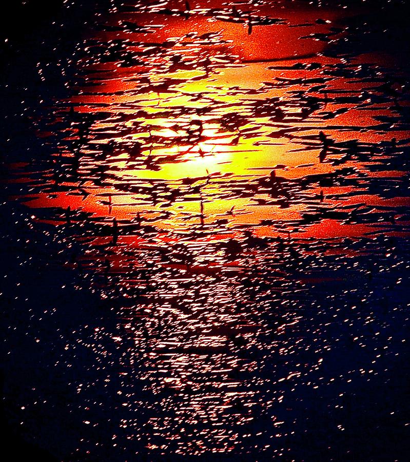 Sinking Sun Photograph by Gordon James