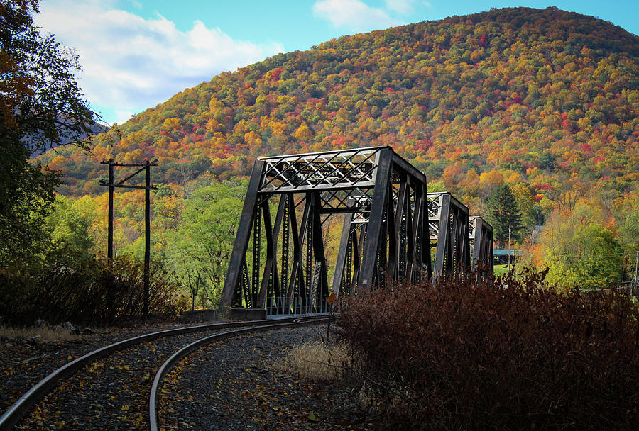 Sinnamahoning Railroad Bridge 3 Photograph by David Kipp