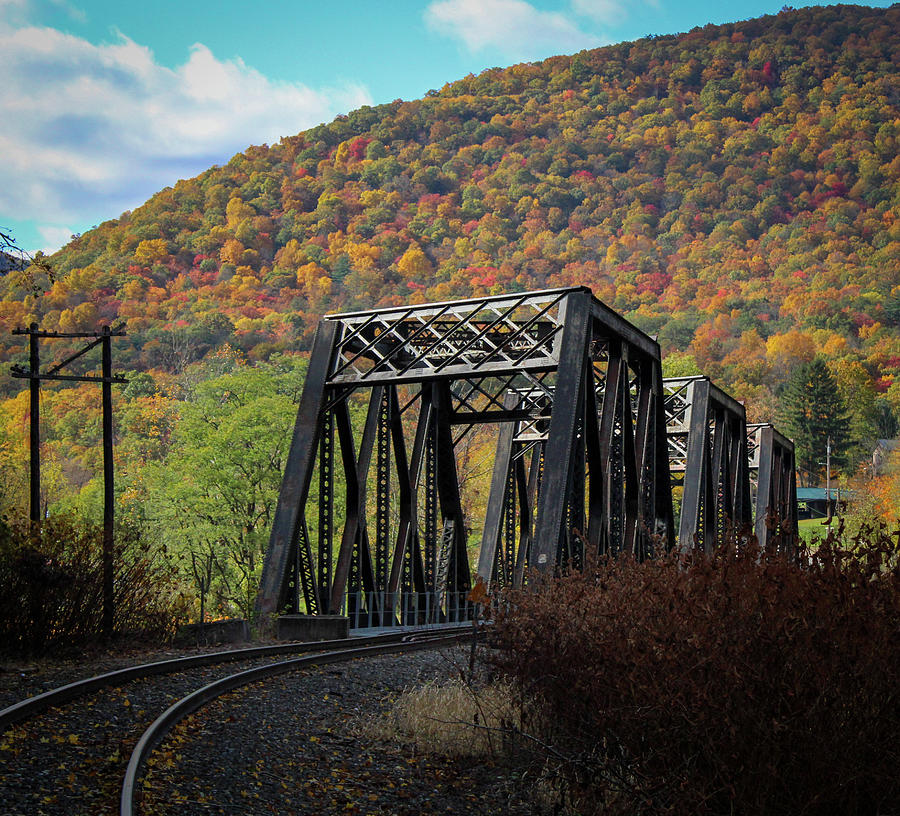 Sinnamahoning Railroad Bridge 4 Photograph by David Kipp