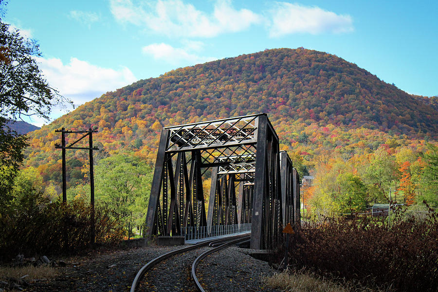 Sinnamahoning Railroad Bridge 5 Photograph by David Kipp