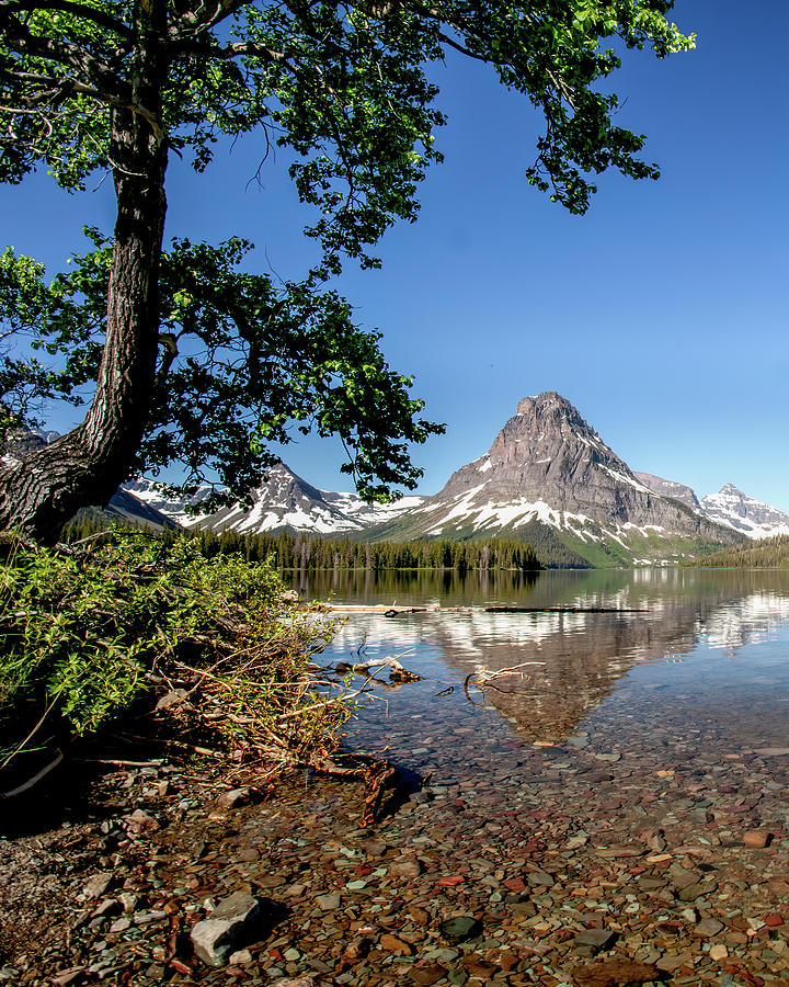 Sinopah Mountain reflected in Two Medicine Lake Photograph by Jack Bell